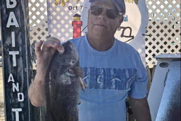 16" Tautog