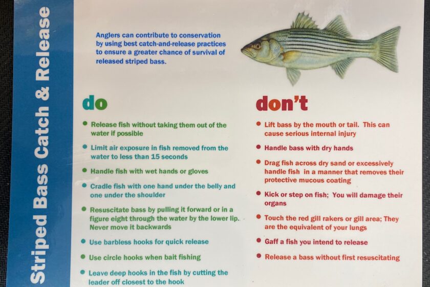 Reminder – Do's and Dont's for Catch & Release - Jingles Bait and