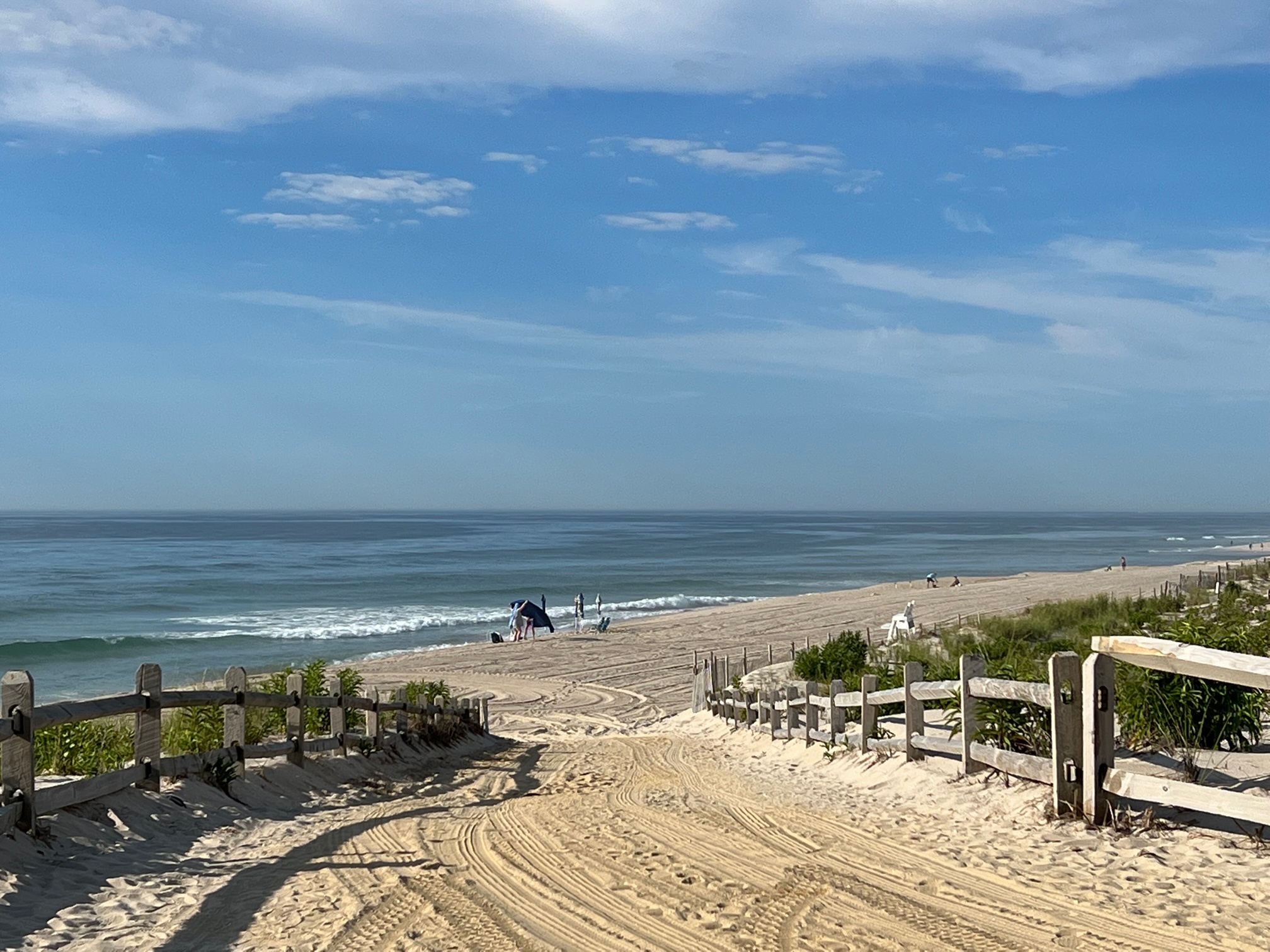 Daily Report Jingles Bait and Tackle Beach Haven (LBI), NJ