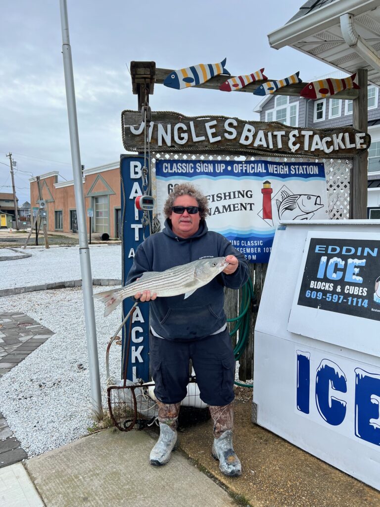 Nomad Shikari Lures - LBI NJ Fishing Report