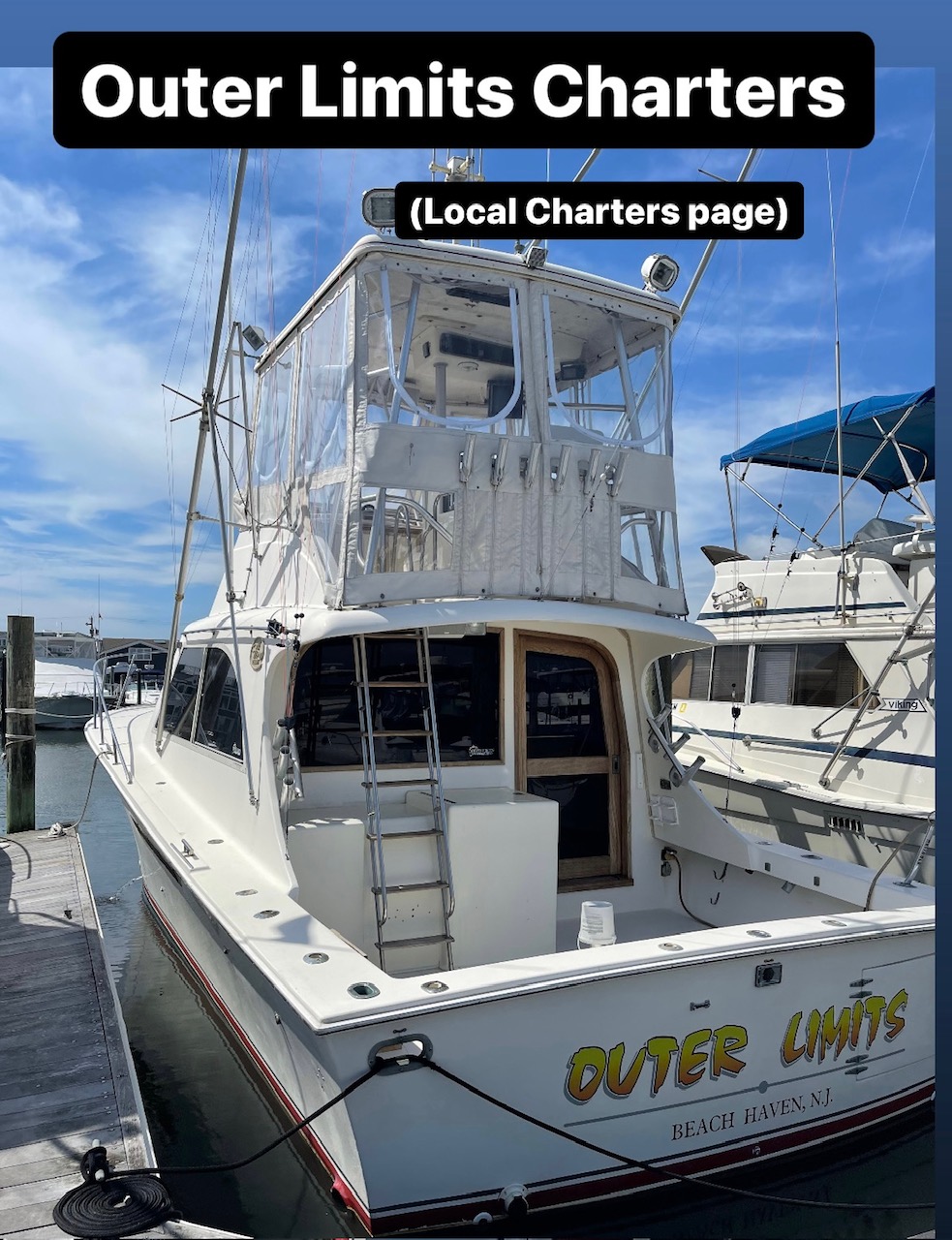 Local Charters - Jingles Bait and Tackle - Beach Haven (LBI), NJ