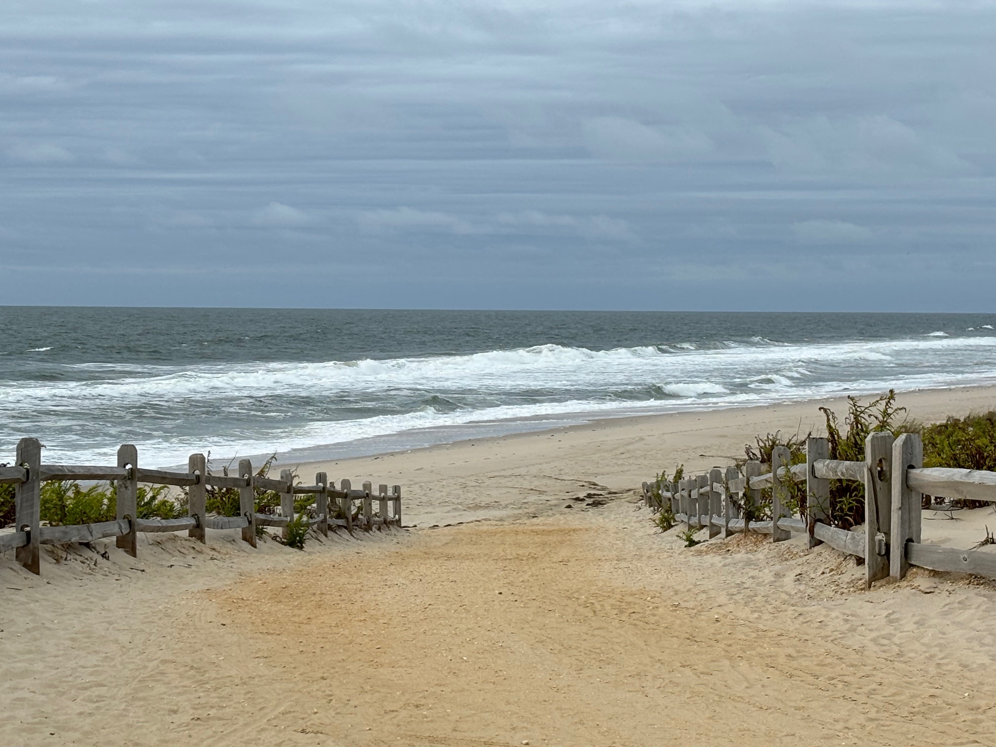 DAILY REPORT Jingles Bait and Tackle Beach Haven (LBI), NJ